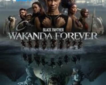 Download Black Panther: Wakanda Forever (2022) Hindi HDCaM Rip 480p [400MB] || 720p [1GB] || 1080p [4GB]